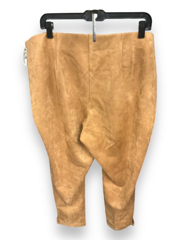 Pants Leggings By Zac And Rachel In Brown, Size: 2x For Discount